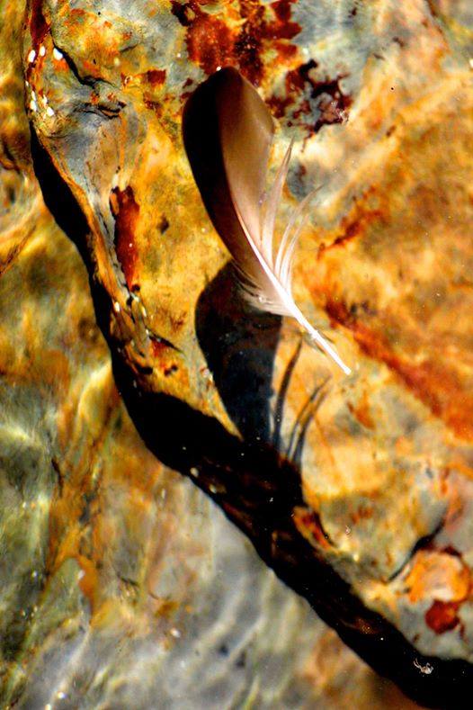 Image: © Ann Bagnall and AnnieB222Photography.com, 2012-2015.