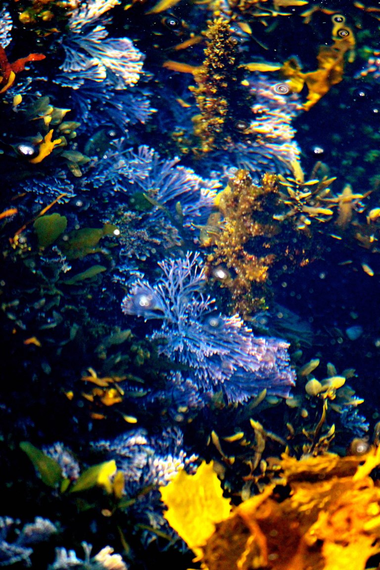 Image: © Ann Bagnall and AnnieB222Photography.com, 2012-2015.