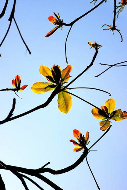 Image: © Ann Bagnall and AnnieB222Photography.com, 2012-2015.