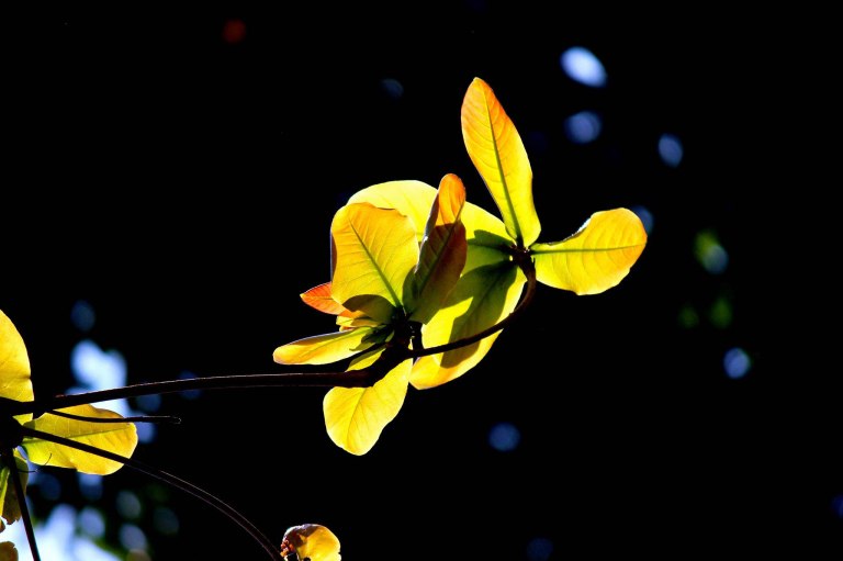 Image: © Ann Bagnall and AnnieB222Photography.com, 2012-2015.