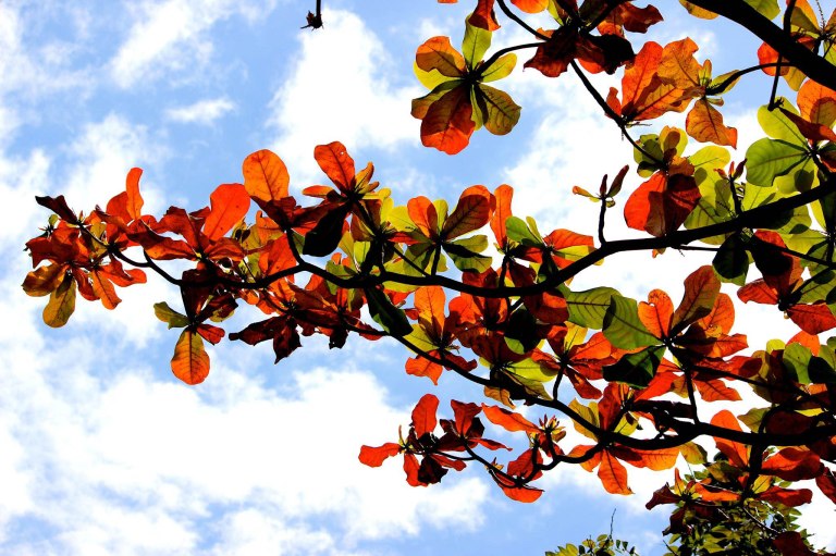 Image:  © Ann Bagnall and AnnieB222Photography.com, 2012-2015.