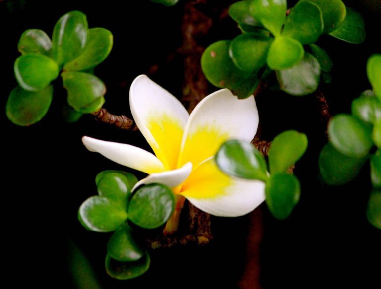 Image: © Ann Bagnall and AnnieB222Photography.com, 2012-2015.