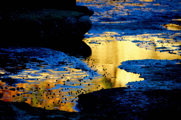 Image:  © Ann Bagnall and AnnieB222Photography.com, 2012-2015.