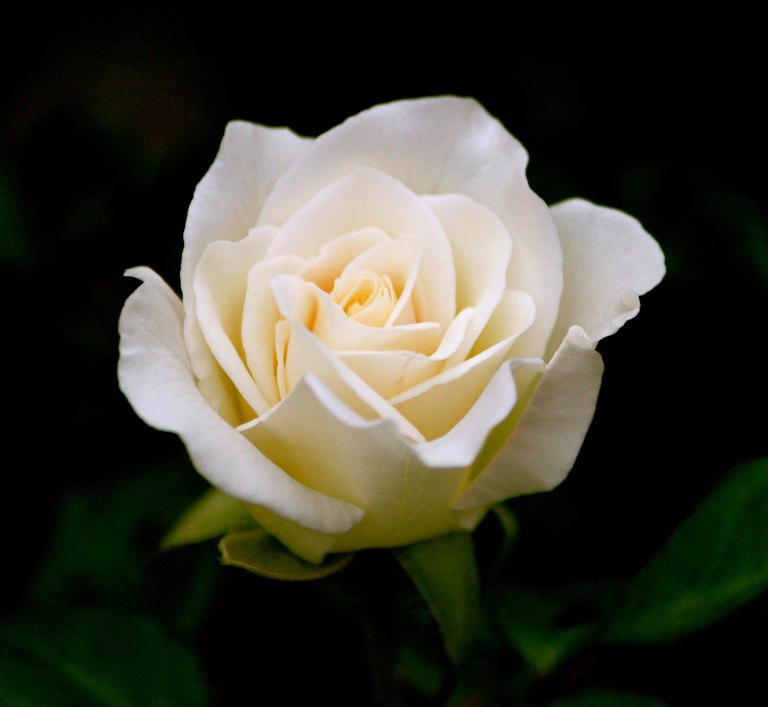 Image:  © Ann Bagnall and AnnieB222Photography.com, 2012-2015.