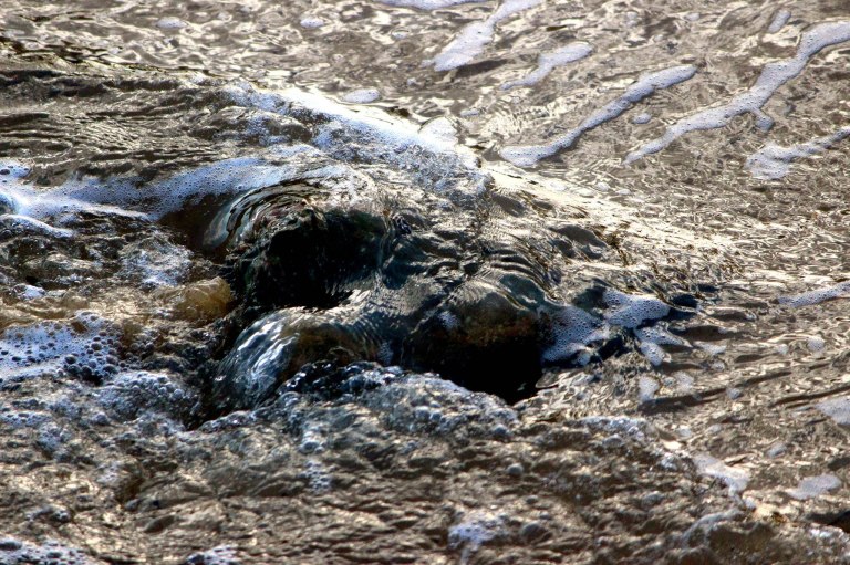 Image:  © Ann Bagnall and AnnieB222Photography.com, 2012-2015.