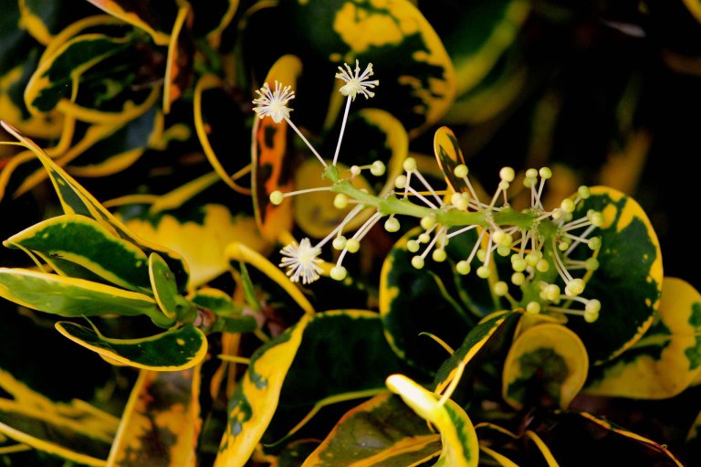 Image: © Ann Bagnall and AnnieB222Photography.com, 2012-2015.