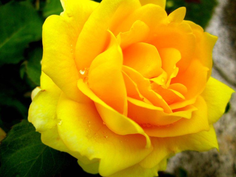 Image © Ann Bagnall and AnnieB222Photography.com, 2012 -2015.