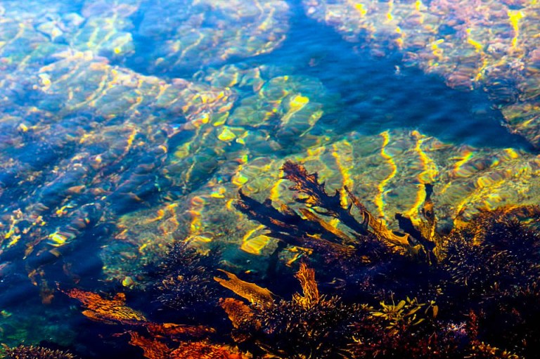 Image: © Ann Bagnall 2012-2016.