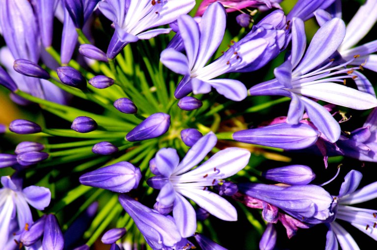 Image: © Ann Bagnall and AnnieB222Photography.com, 2012-2015.