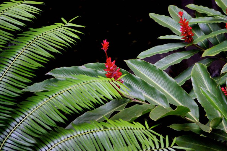 Image: © Ann Bagnall and AnnieB222Photography.com, 2012-2015.