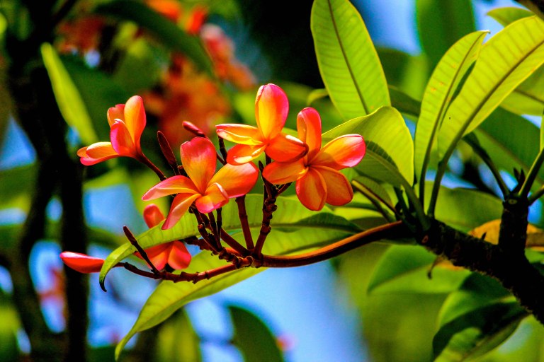 Image: © Ann Bagnall and AnnieB222Photography.com, 2012-2015.