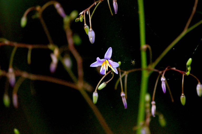 Image: © Ann Bagnall and AnnieB222Photography.com, 2012-2015.