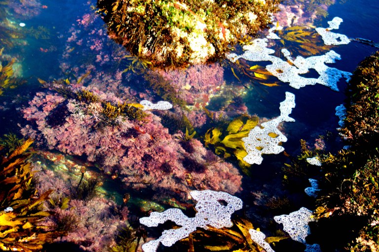 Image:  © Ann Bagnall and AnnieB222Photography.com, 2012-2015.