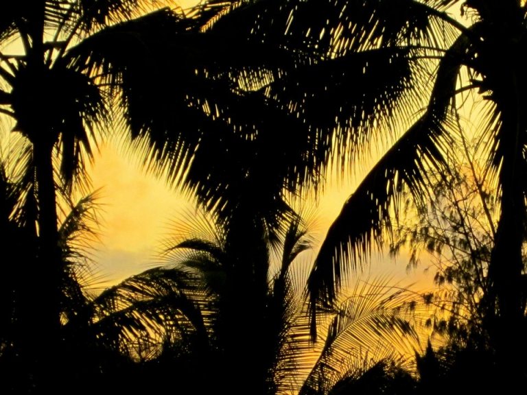 Image: © Ann Bagnall and AnnieB222Photography.com, 2012-2015.