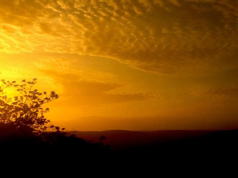 3811_10151200265538193_51191586_n