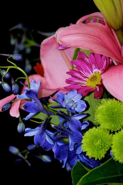 Image: © Ann Bagnall and AnnieB222Photography.com, 2012-2015.