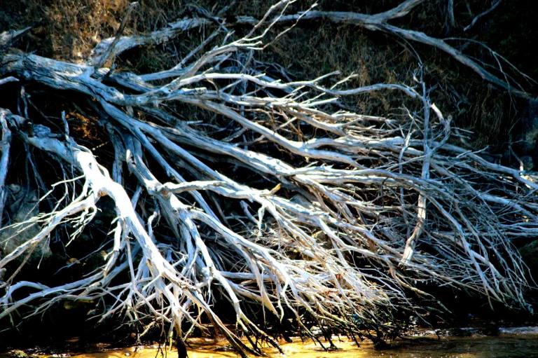 Image: © Ann Bagnall and AnnieB222Photography.com, 2012-2015.