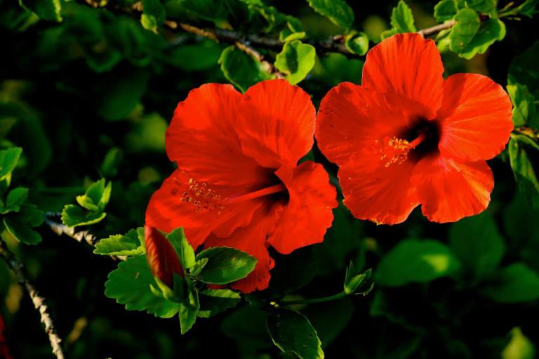 Image: © Ann Bagnall and AnnieB222Photography.com, 2012-2015.