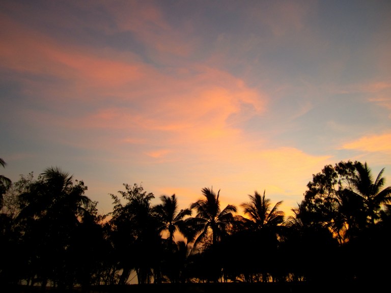 Image: © Ann Bagnall 2012-2016.