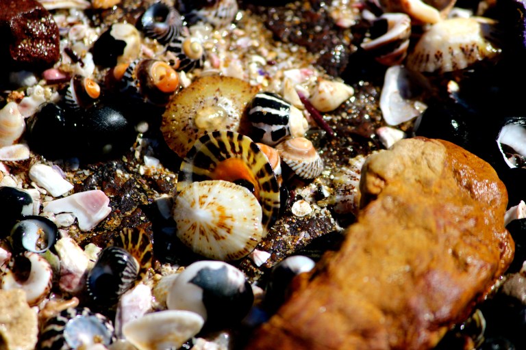 Image: © Ann Bagnall and AnnieB222Photography.com, 2012-2015.