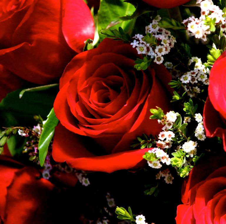 Image: © Ann Bagnall and AnnieB222Photography.com, 2012-2015.