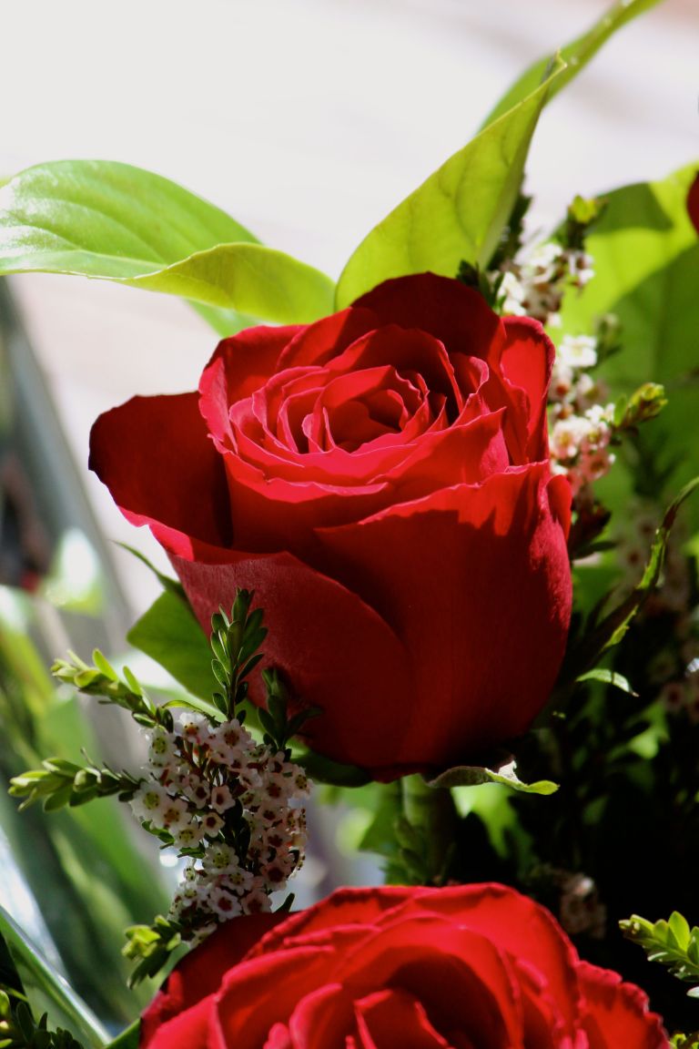 Image: © Ann Bagnall 2012-2016.