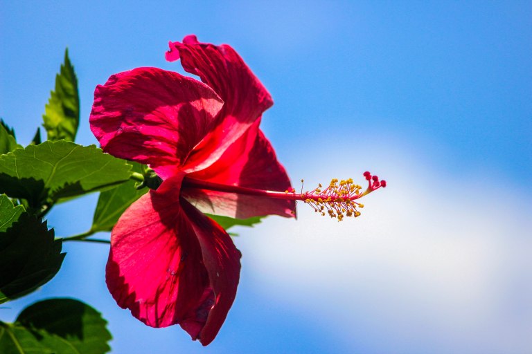 Image: © Ann Bagnall and AnnieB222Photography.com, 2012-2015.