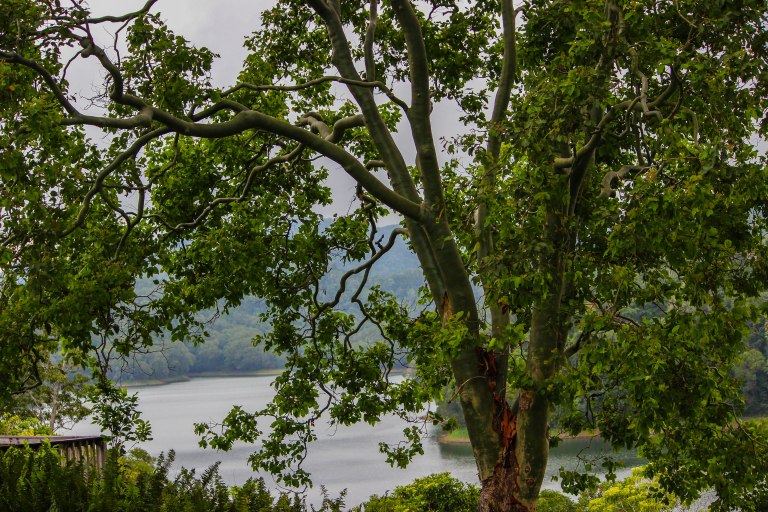 Image: © Ann Bagnall and AnnieB222Photography.com, 2012-2015.