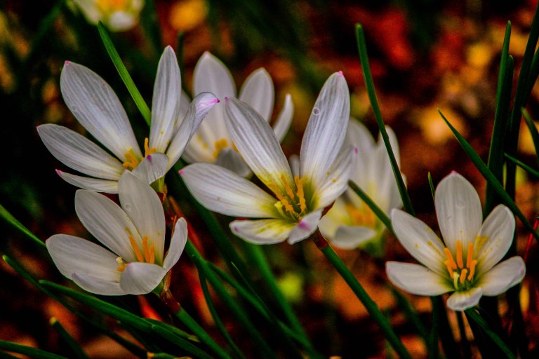 Image: © Ann Bagnall and AnnieB222Photography.com, 2012-2015.