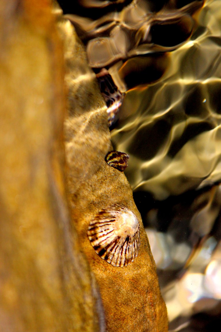 Image: © Ann Bagnall and AnnieB222Photography.com, 2012-2015.