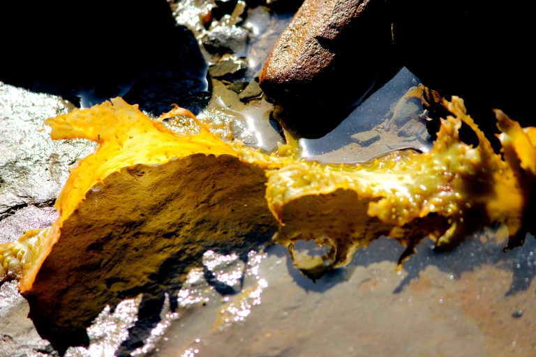 Image: © Ann Bagnall and AnnieB222Photography.com, 2012-2015.