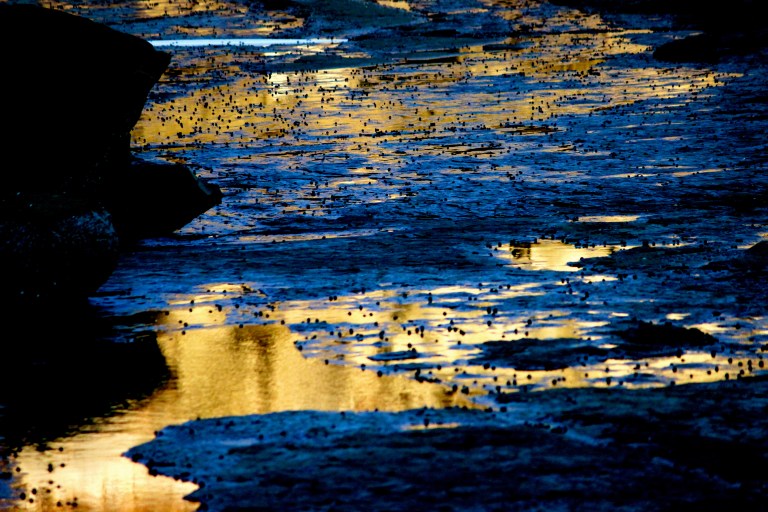 Image: © Ann Bagnall and AnnieB222Photography.com, 2012-2015.