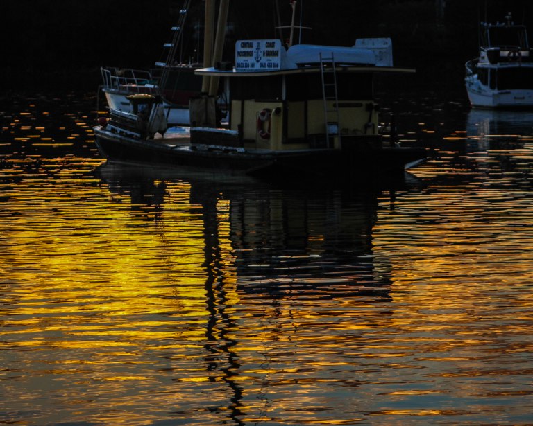 Image: © Ann Bagnall 2012-2016.