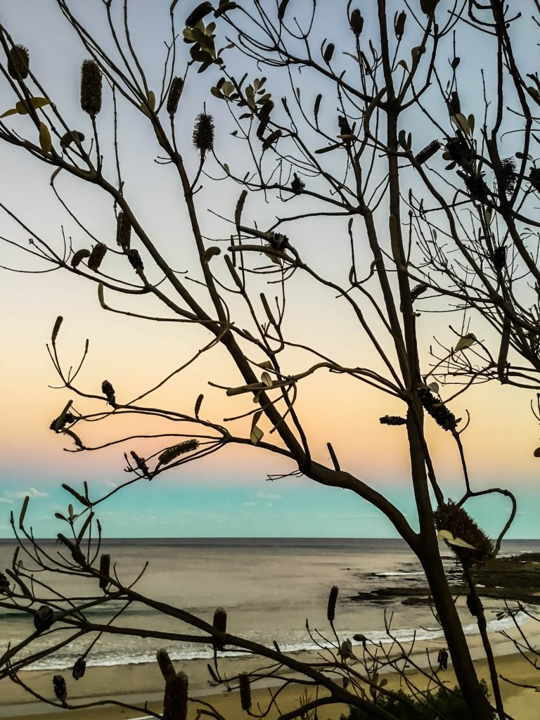 Image: © Ann Bagnall 2012-2016.