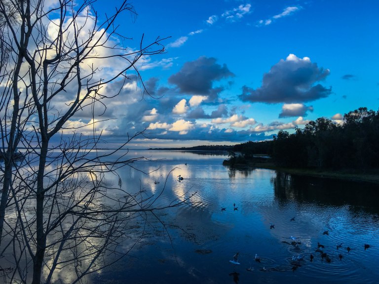 Image: © Ann Bagnall 2012-2016.