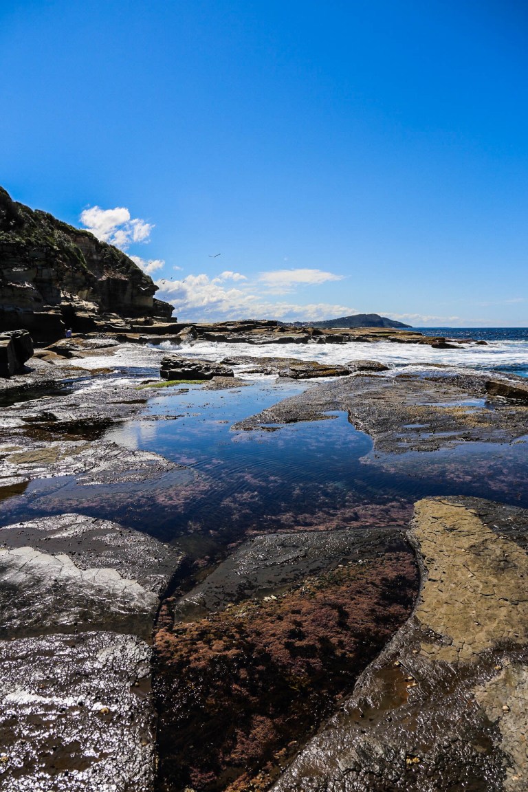 Image: © Ann Bagnall 2012-2016.